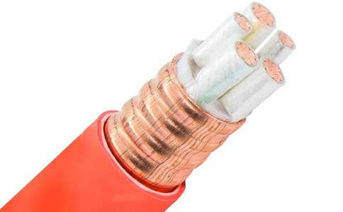 <a href='http://zzmydz.com/kuangwuzhidianlan/' target='_blank'><u>礦物質(zhì)電纜</u></a>