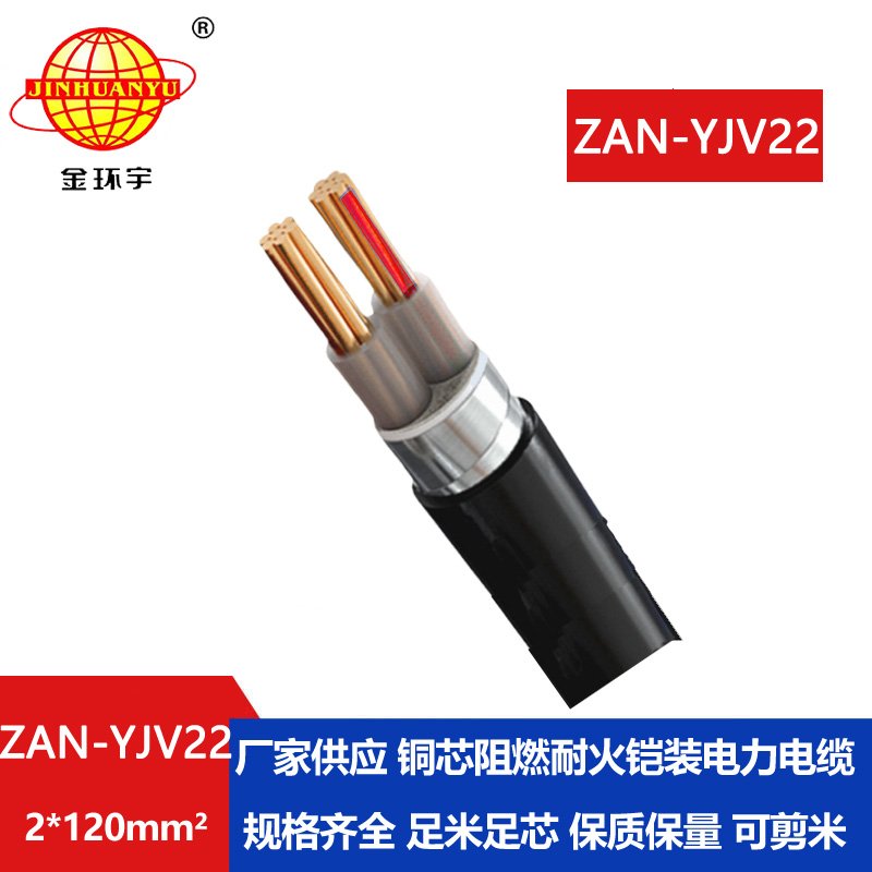金環(huán)宇電線電纜 ZAN-YJV22-2X120平方 阻燃a級(jí)耐火銅